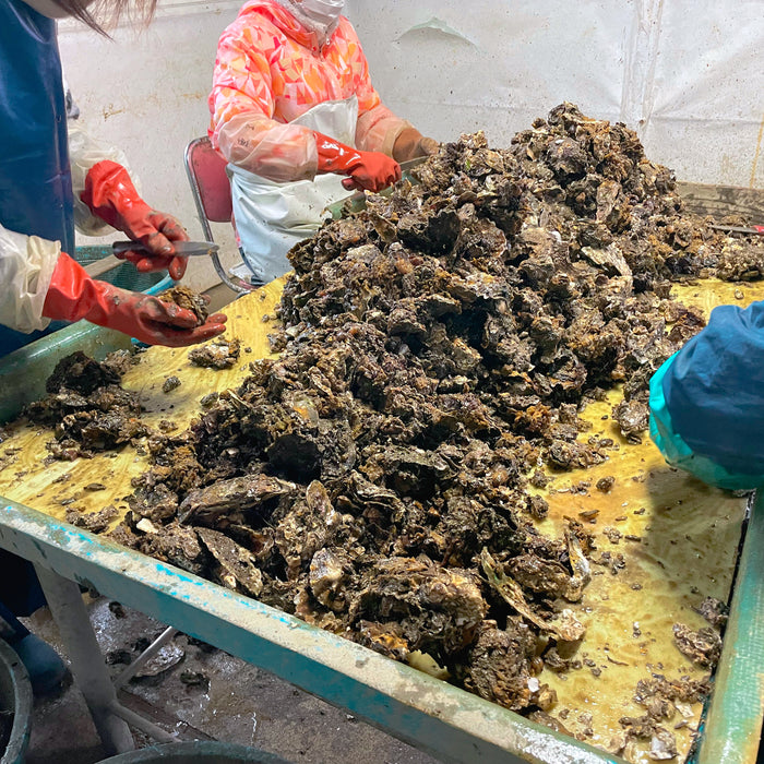 【今シーズンの収穫終了日のお知らせ】