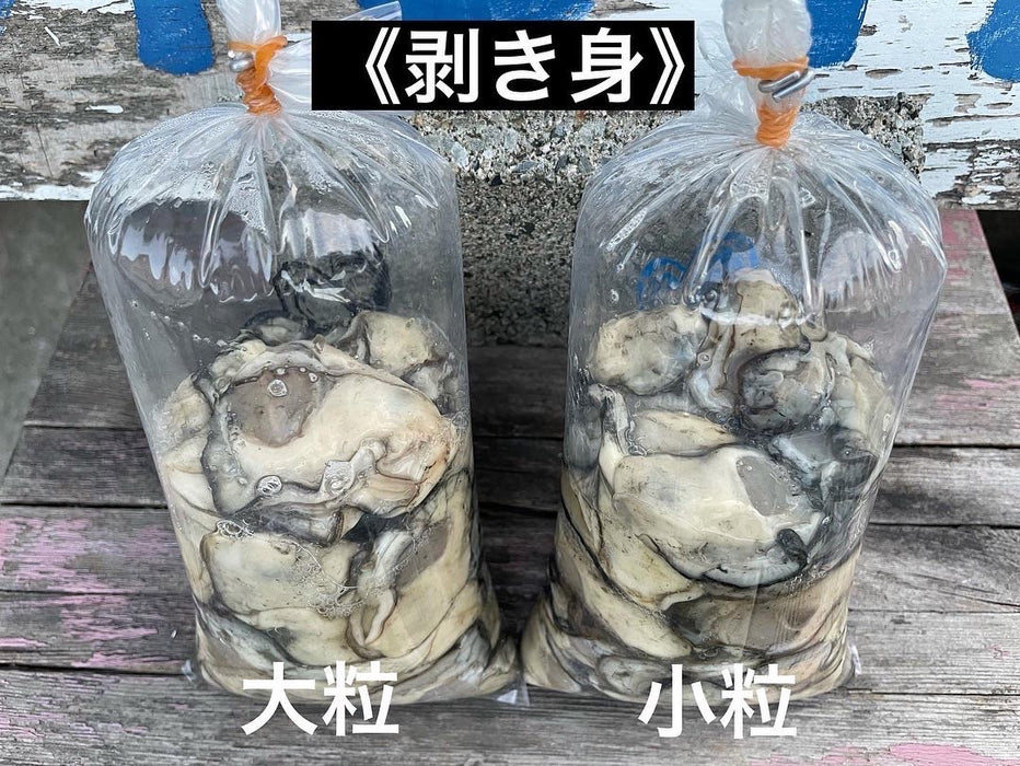 【剥き牡蠣"大小"セット】浜名湖名産"YAGITA OYSTER"・500g×2