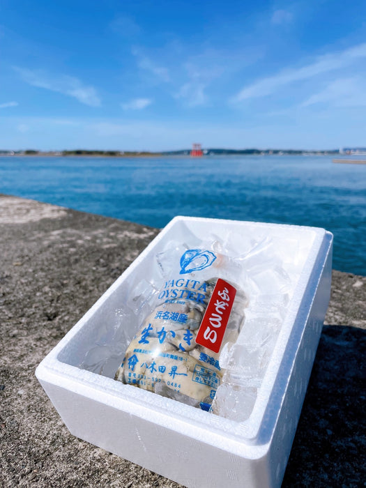 【お得！剥き身生牡蠣"ふぞろい"500g】浜名湖名産"YAGITA OYSTER"・500g