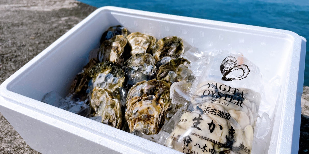 剥き牡蠣・殻付き牡蠣セット】浜名湖名産