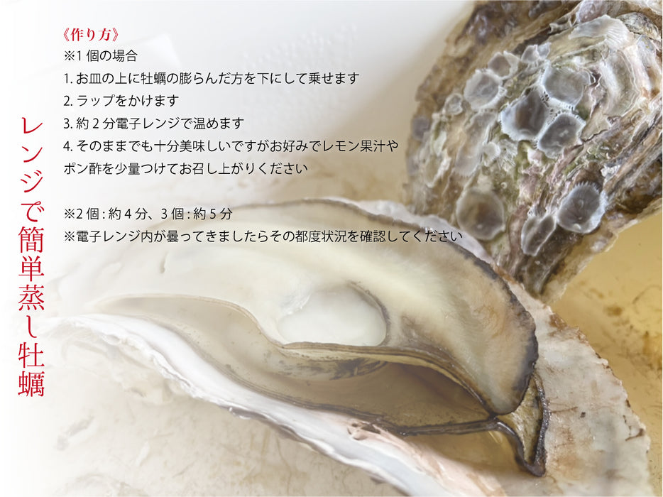 【剥き牡蠣・殻付き牡蠣セット】浜名湖名産"YAGITA OYSTER"・500g（大）＋10個